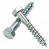Hex Lag Screw Low Carbon Zinc CR+3